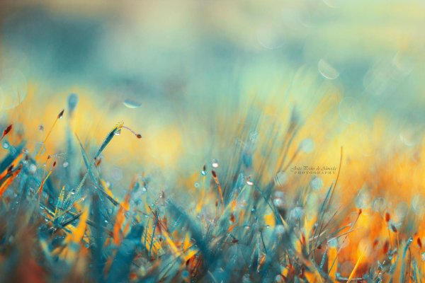 размытые фоны