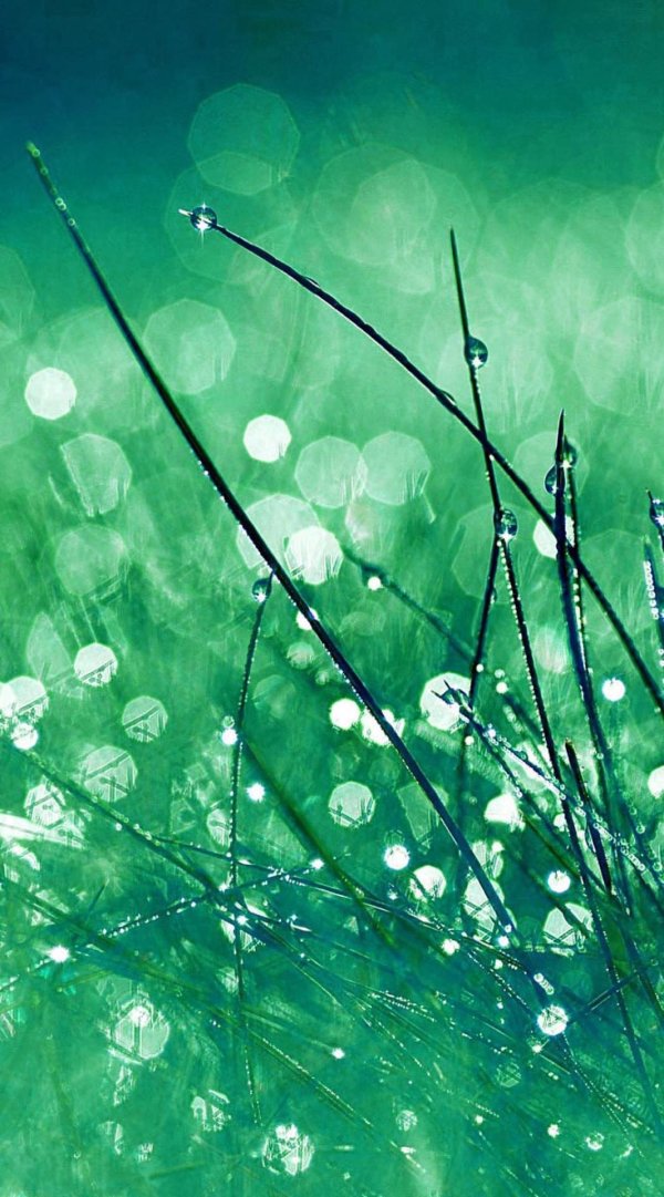 бирюзовый фон