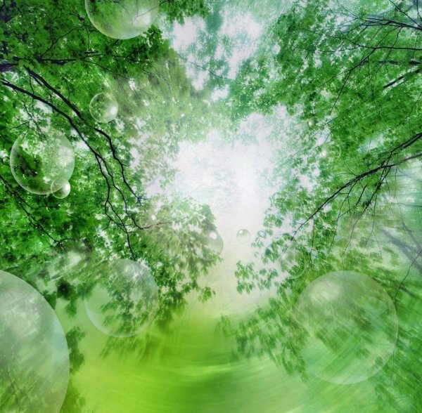 фон экологии