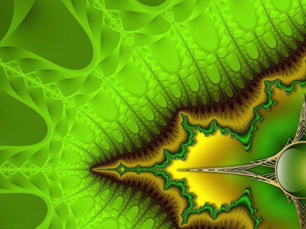 зеленый фрактал