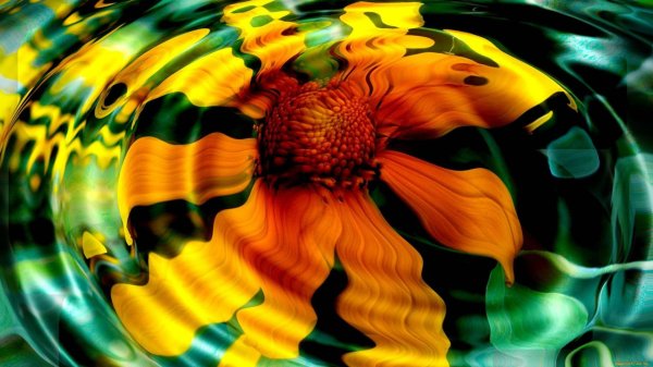 цветок разноцветный