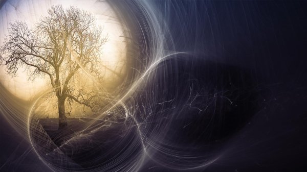 пейзаж дерево