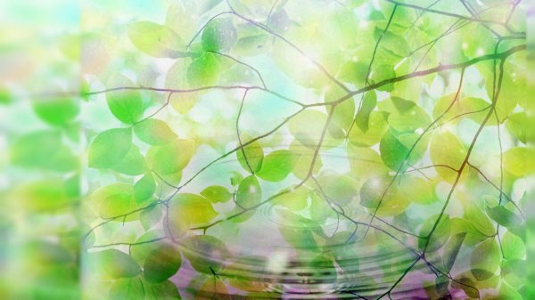 весенние фоны