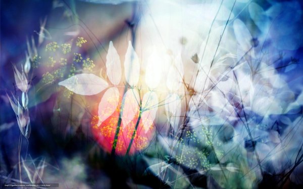 весна абстракция