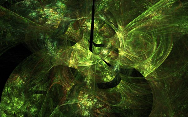 фрактал в природе