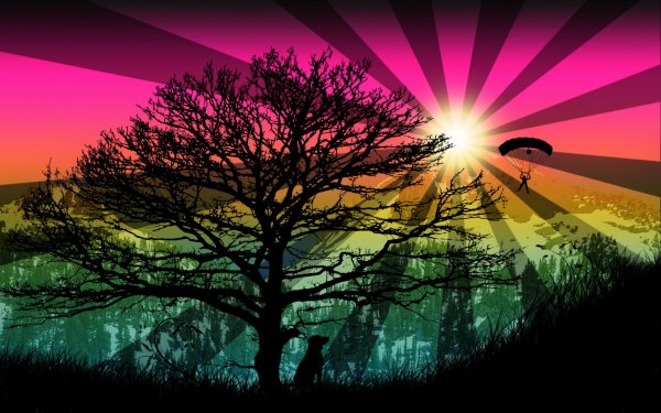 красивое дерево