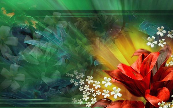 цветочные фоны