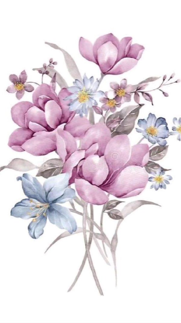 иллюстрации цветов