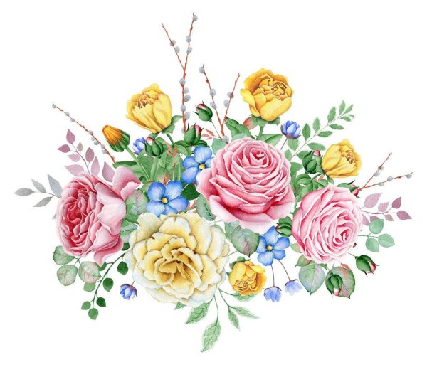 иллюстрации цветов