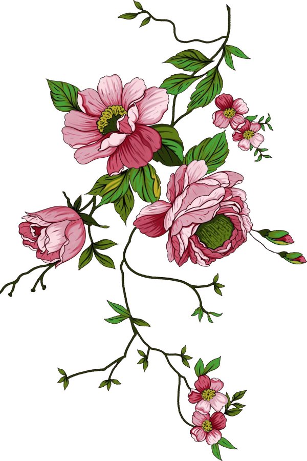 цветочные орнаменты