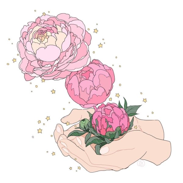 пион рисунок