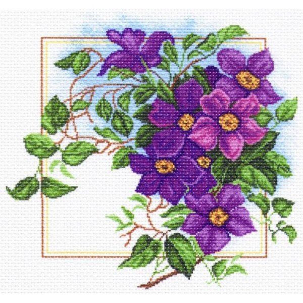 риолис клематисы