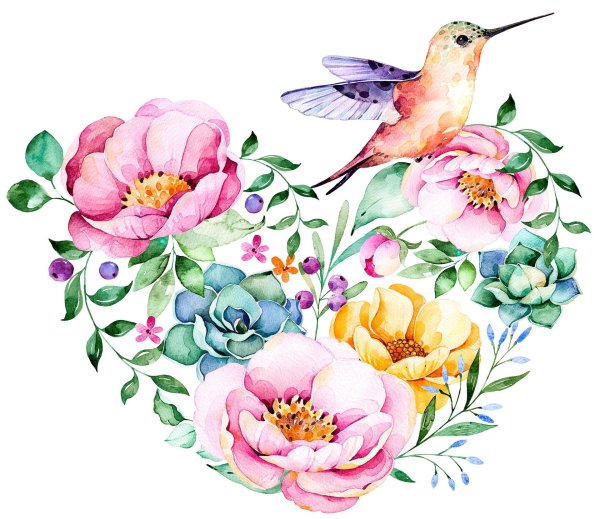 акварельная иллюстрация