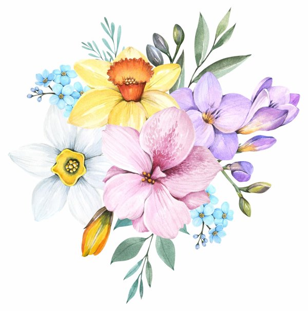 иллюстрации цветов