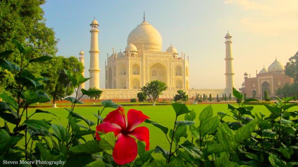 тадж махал сад