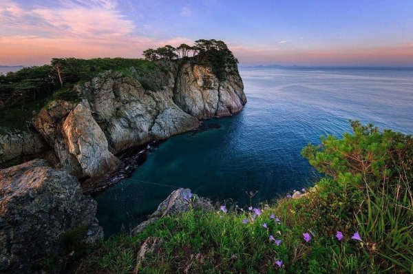 дальневосточный морской заповедник