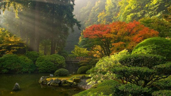 японские сады муромати