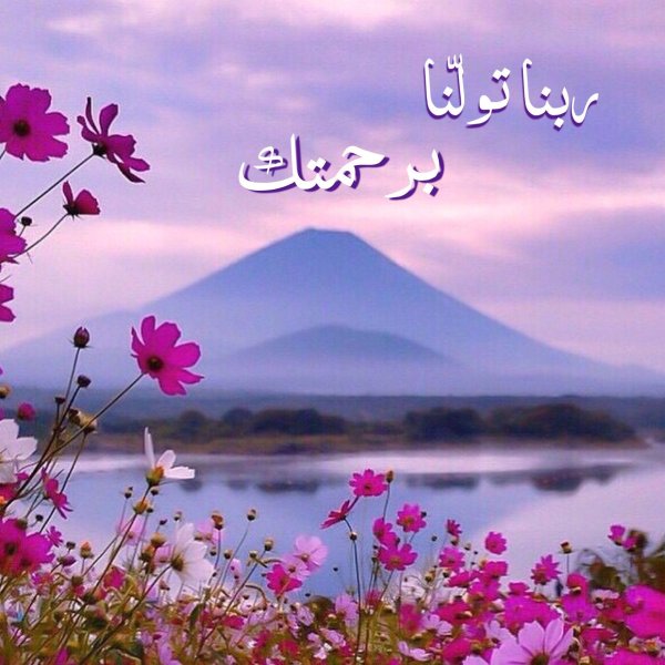 природа красивая