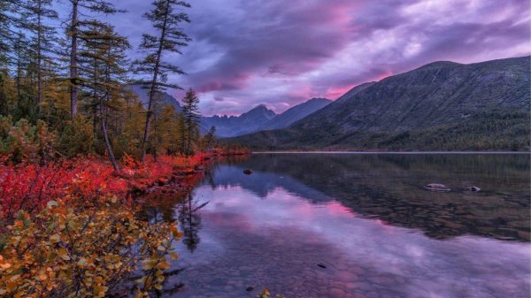 владимир рябков озеро джека лондона
