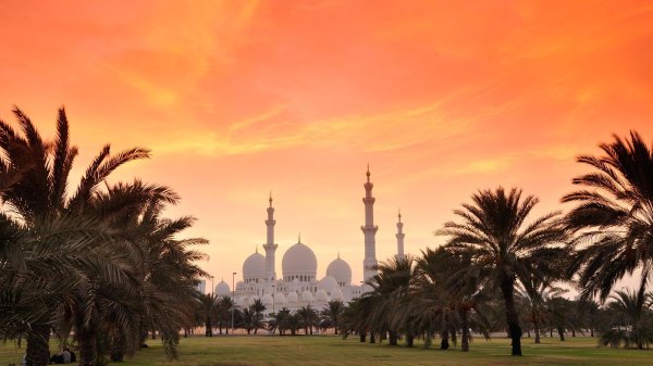 мечеть шейха зайда абу даби