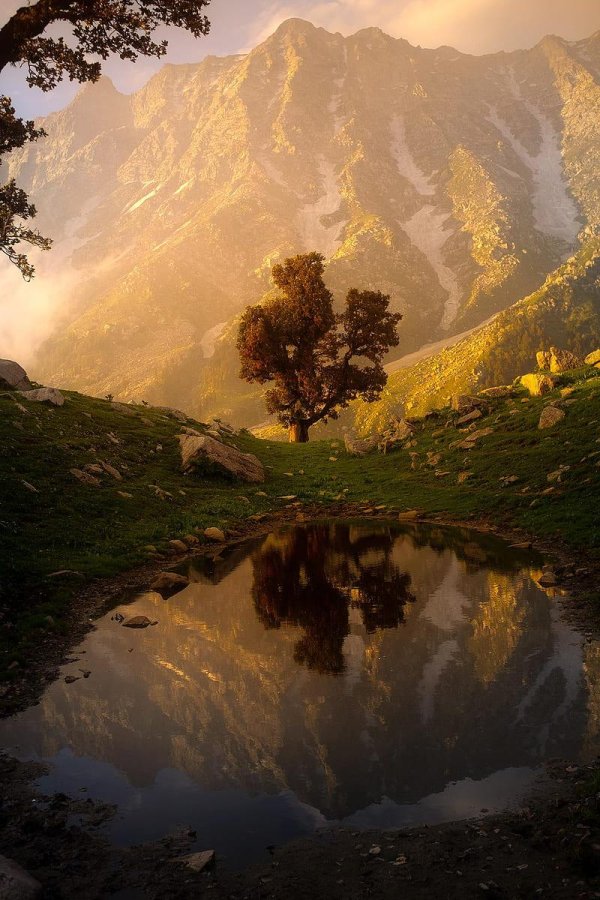 пейзаж горный