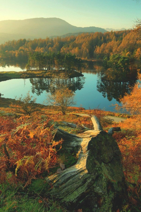 лейк дистрикт осень англия