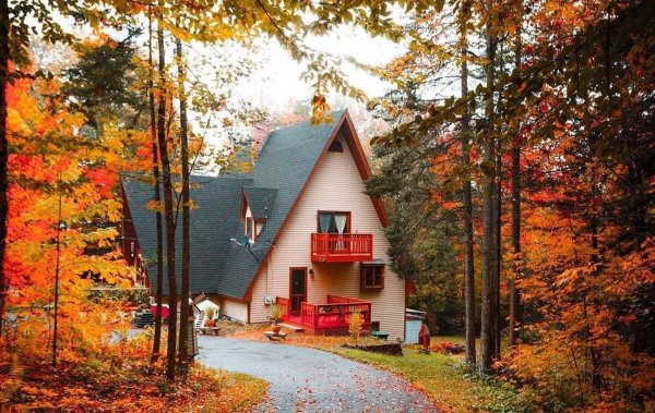 осень дом природа