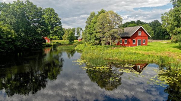 поселок лесное озеро солнечногорский район