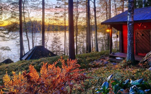 карелия лес озеро осень