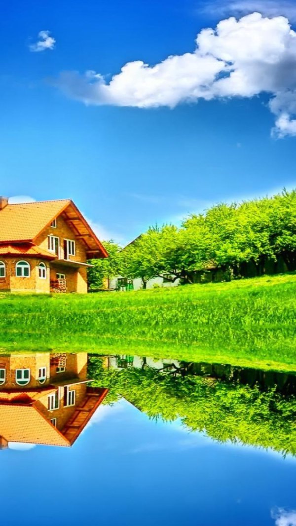 фон с домами