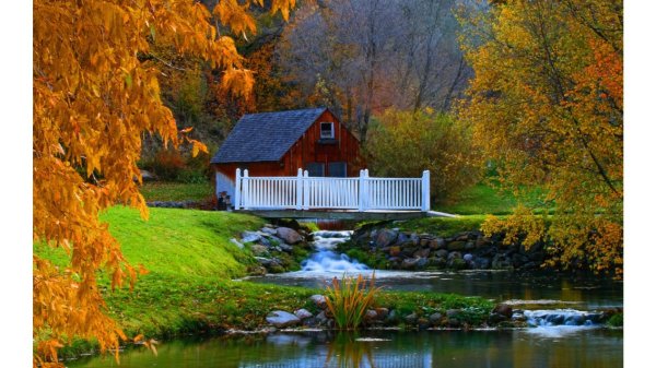 природа дома