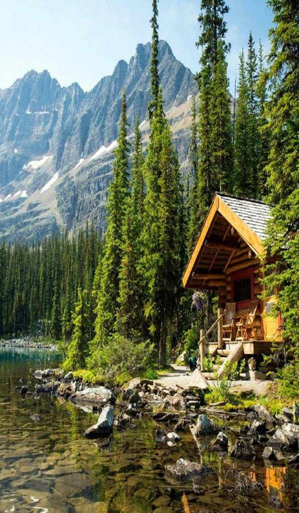 Дома и природа