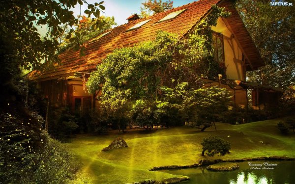 природа домик