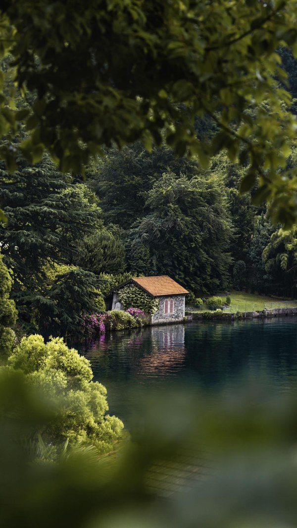 домик на берегу озера