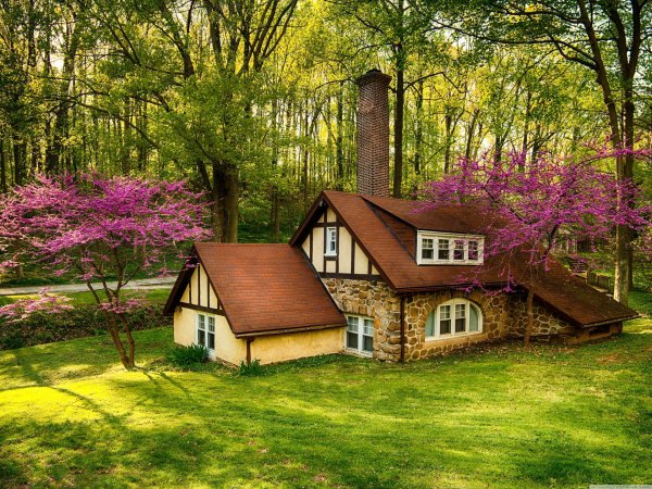 домики красивые