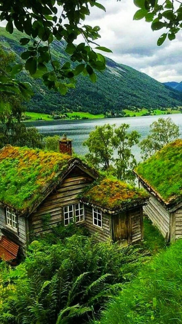 хаттфьелльдал норвегия избушка