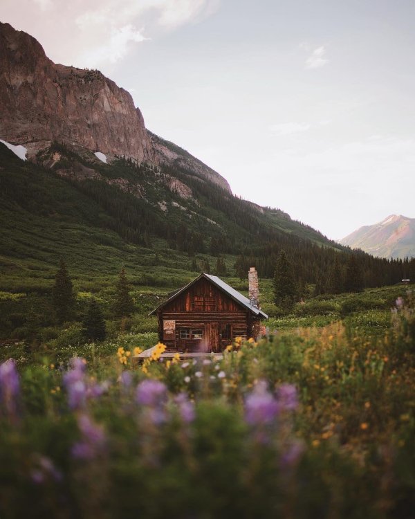 швеция альпийские луга