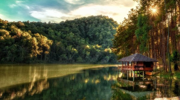 красивые домики на природе