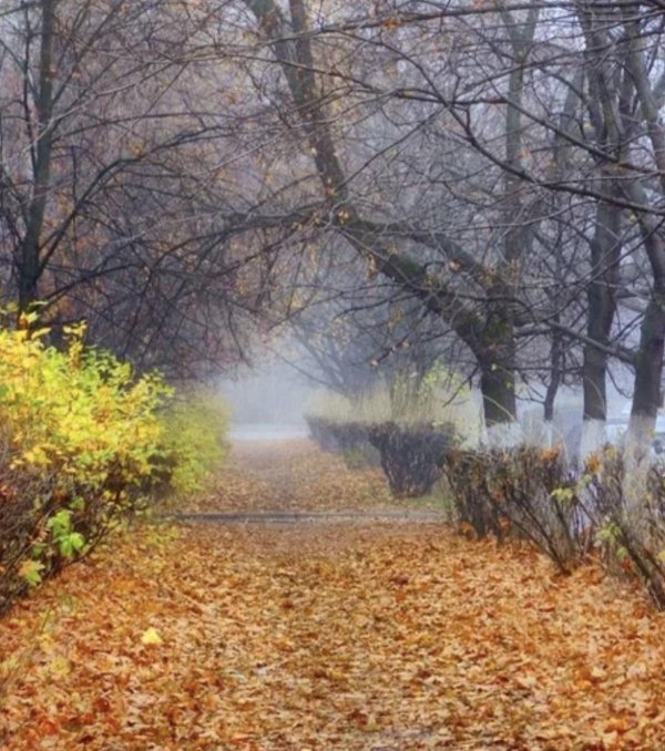 пасмурная осень