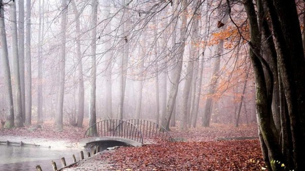 осенний парк