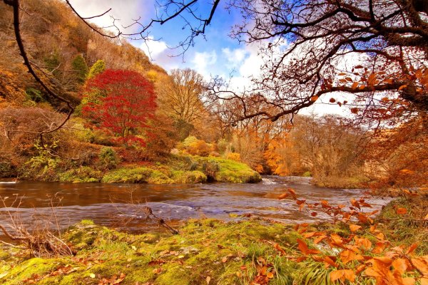 Природа поздней осени