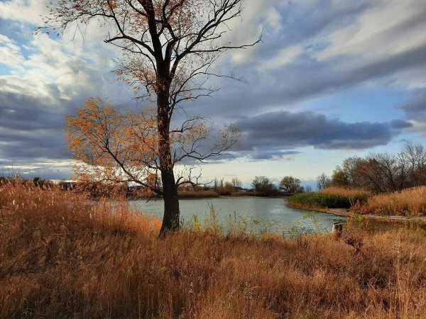 уж небо осенью дышало
