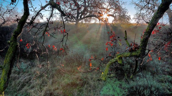 александр киценко пейзажный фотограф