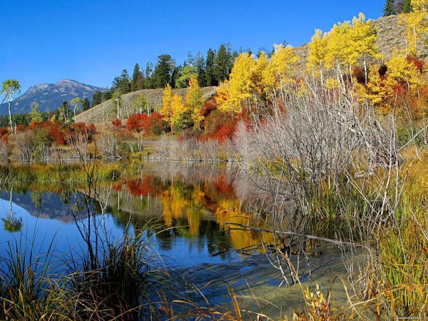 осенние пейзажи