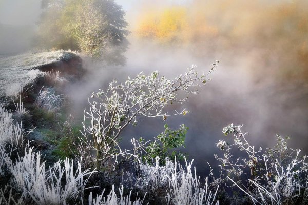 пейзаж с туманом