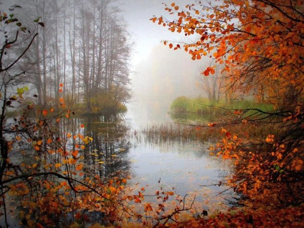 игорь зенин фотохудожник ноябрь