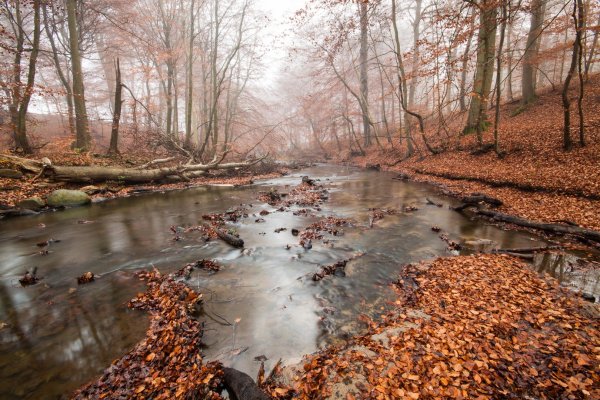 осенние пейзажи
