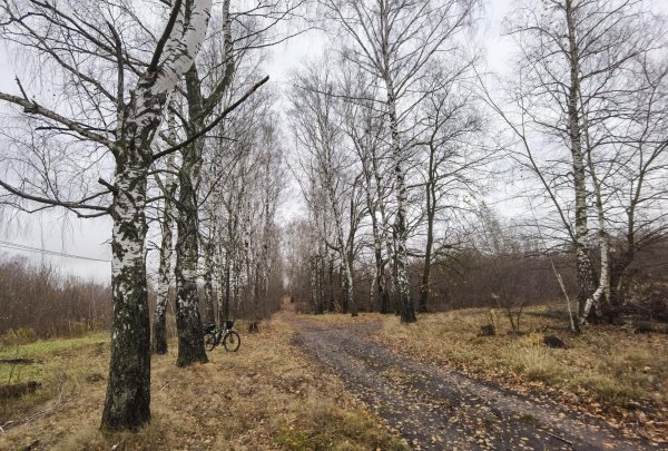 поздняя осень