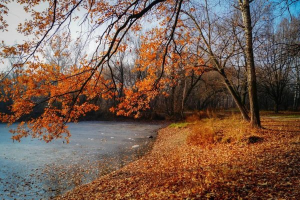 природа осени