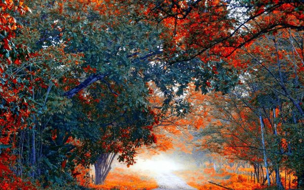 ноябрь природа